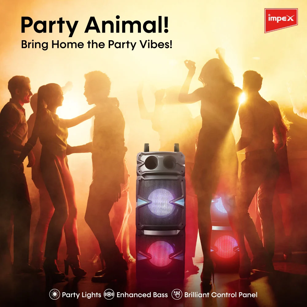 IMPEX Stage Speaker System (Thunder T100) - Image 11