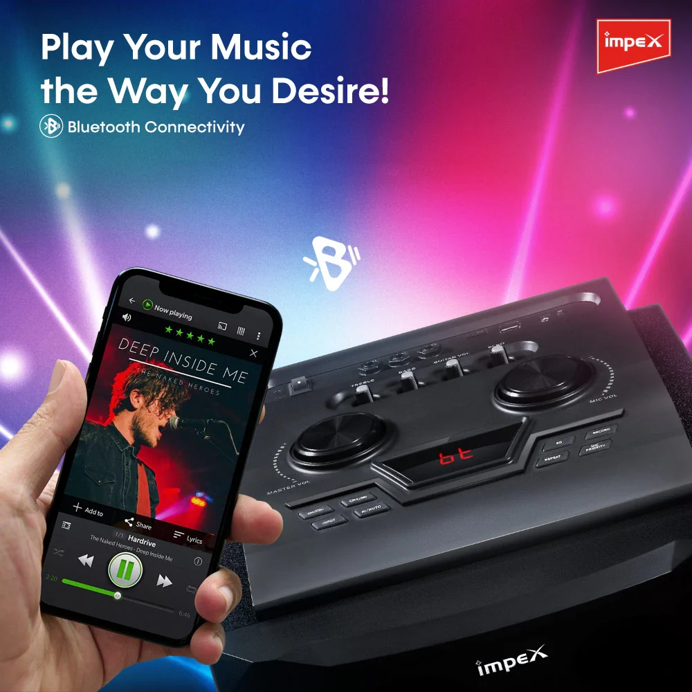 IMPEX Stage Speaker System (Thunder T100) - Image 6