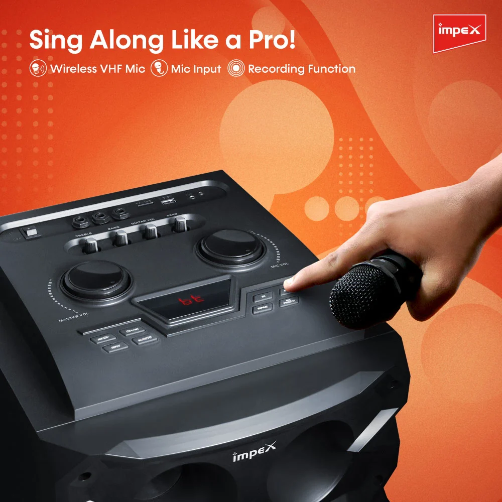 IMPEX Stage Speaker System (Thunder T100) - Image 7