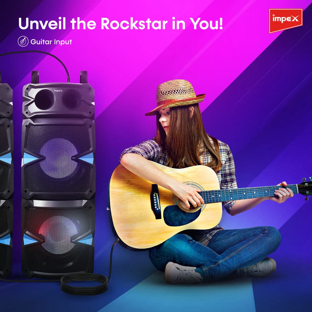 IMPEX Stage Speaker System (Thunder T100) - Image 8