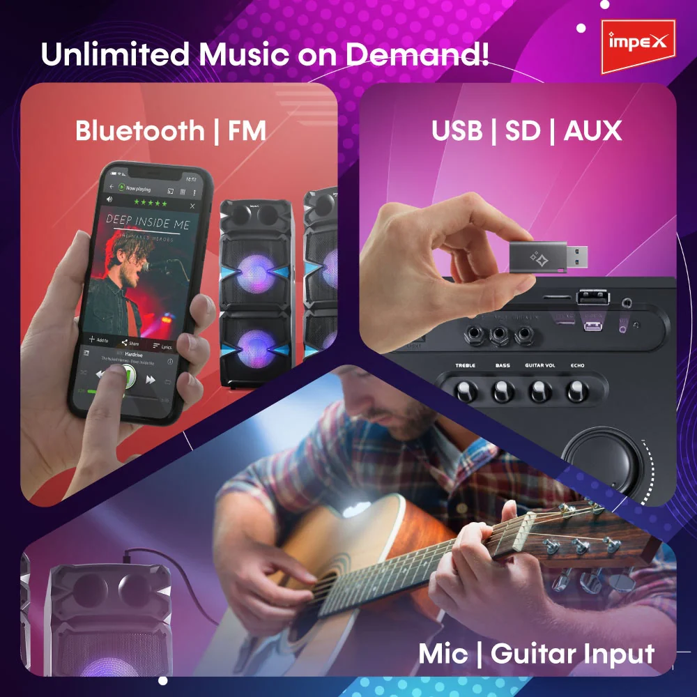 IMPEX Stage Speaker System (Thunder T100) - Image 9